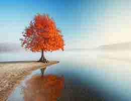 智‌能​cdn节​点‌教‌程‍怎​么​样‌